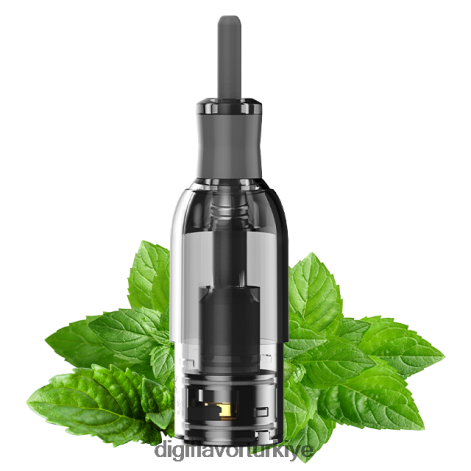 Digiflavor Geekvape Flavors J0R2DL36 nane | Digiflavor M1 tankı Digiflavor Geekvape Flavors J0R2DL36 nane | Digiflavor M1 tankı